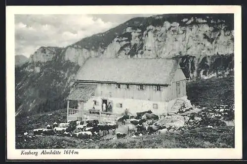 AK Grünau im Almtal, Kühe vor der Kasberg Almhütte