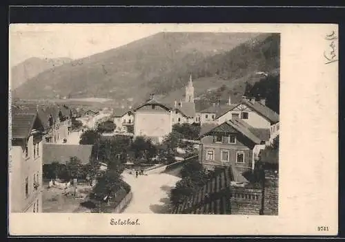 AK Selzthal, Ortsansicht über die Dächer