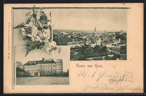 AK Horn, Ansicht eines grossen Gebäudes, Ortsansicht mit Kirche