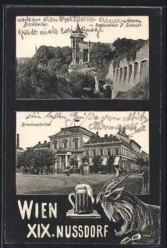 AK Wien-Nussdorf, Brauhaushallen, Bockkeller m. Restaurateur F. Schmidt