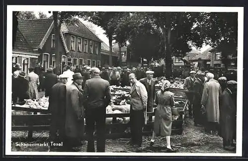 AK Texel, Schapenmarkt