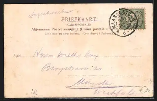 AK Maassluis, Goudsteen