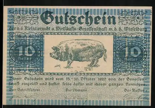 Notgeld Wieselburg 1920, 10 Heller, Gutschein mit Schwein und Text zur Kleintierzucht