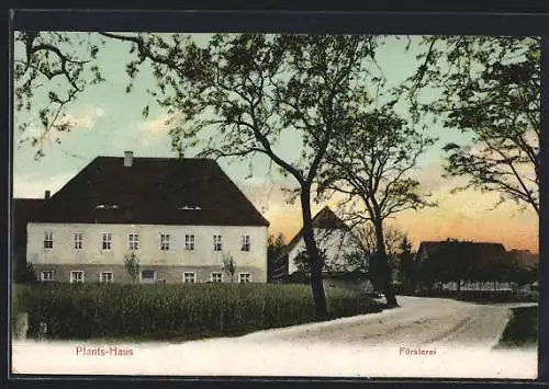 AK Torgau, Plants-Haus und Försterei