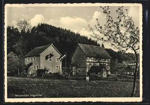 AK Vöhl am Edersee, Pensionshaus Stiegmühle H. Kopf, Mann auf der Wiese