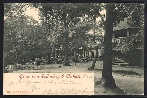 AK Oschatz, Gasthaus Zum Collmberg