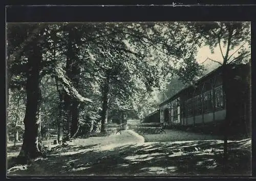 AK Einbeck, Partie am Gasthaus Teichen