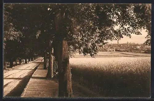 AK Einbeck, Blick vom Hubeweg