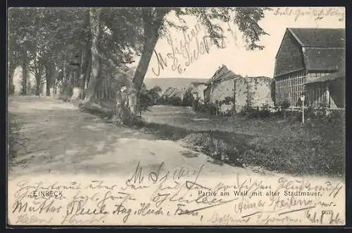 AK Einbeck, Partie am Wall mit alter Stadtmauer