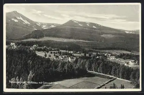 AK Wolfshau, Ortsansicht mit Blick zur Schneekoppe