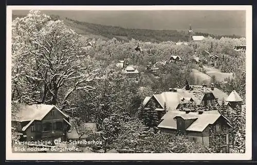AK Ober-Schreiberhau, Blick zur Bergstrasse