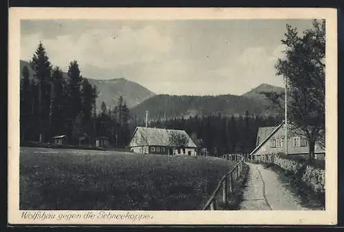 AK Wolfshau, Ortsansicht gegen die Schneekoppe