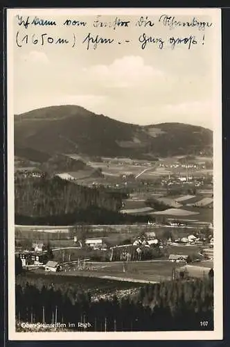 AK Ober-Steinseiffen, Totalansicht aus der Vogelschau