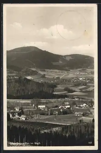 AK Ober-Steinseiffen, Totalansicht aus der Vogelschau