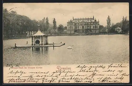 AK Dresden, Palais-Teich im Grossen Garten