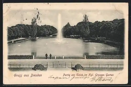 AK Dresden, Partie am Teich im Königlichen Grossen Garten