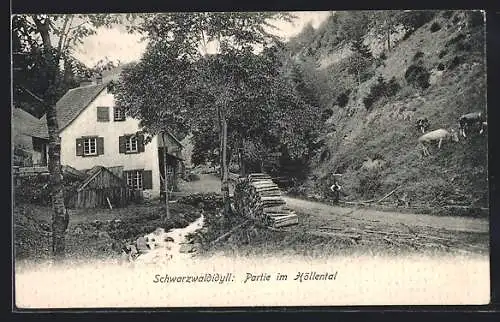 AK Höllental /Schwarzwald, Ortspartie