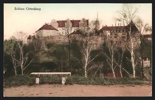 AK Ortenburg, Schloss Ortenburg hinter Birken