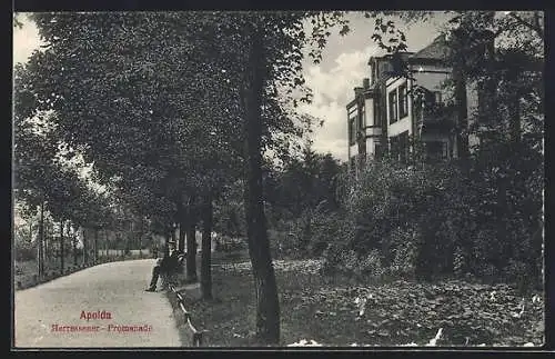 AK Apolda, Strasse am Herressener-Promenade