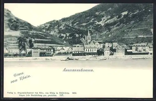AK Assmannshausen, Ortsansicht über den Rhein