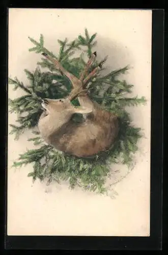 Künstler-AK Charles Scolik: Erlegtes Reh auf Tannenzweigen