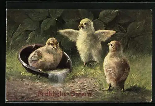 Künstler-AK Osterküken nehmen ein Bad