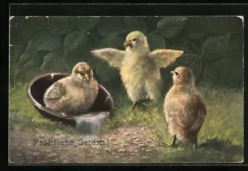 Künstler-AK Osterküken nehmen ein Bad