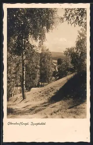 AK Olbernhau /Erzgeb., Partie im Rungstocktal