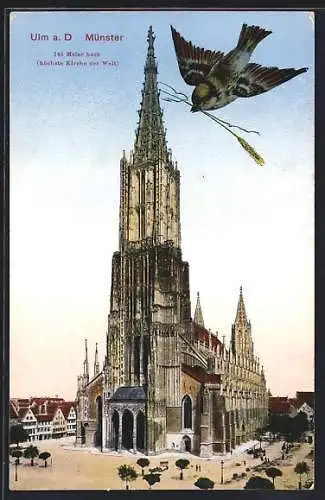 AK Ulm, Ulmer Münster, genannt Ulmer Spatz