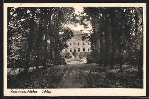 AK Stedten-Bischleben, Schloss mit Zufahrt durch den Park