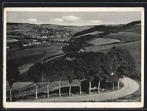 AK Pronsfeld /Eifel, Gesamtansicht mit Umgebung und Landstrasse