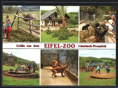 AK Lünebach-Pronsfeld, Eifel-Zoo H. Wallpott, Spielplatz, Löwenkäfig