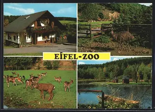 AK Lünebach-Pronsfeld, Eifel-Zoo H. Wallpott, Gebäude, Hirsche