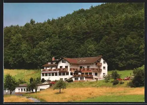 AK Reichelsheim-Rohrbach /Odenwald, Gasthaus-Pension zum Lärmfeuer R. Beck