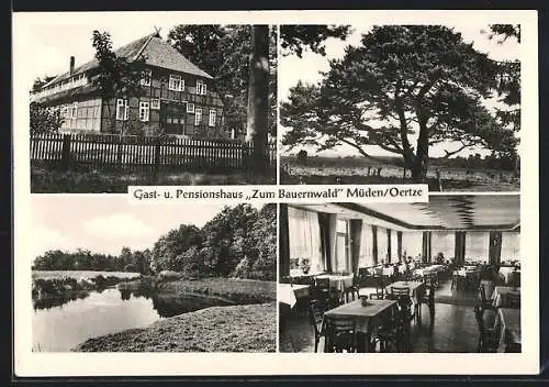AK Müden / Örtze, Gasthaus & Pension Zum Bauernwald