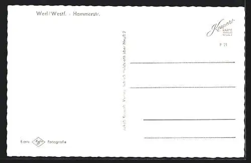 AK Werl /Westf., Hammerstrasse mit Passanten