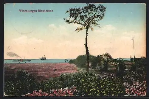 AK Hamburg-Blankenese, Heidefeld am Ufer