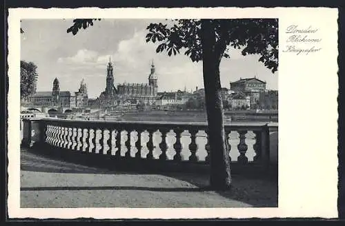 AK Dresden-Neustadt, Blick vom Königsufer auf den Ort