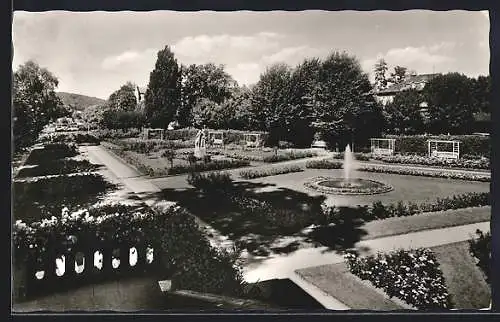 AK Bad Kissingen /Ufr., Im Kurpark