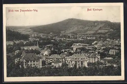 AK Bad Kissingen, Blick vom Pappenheim-Weg auf die Stadt