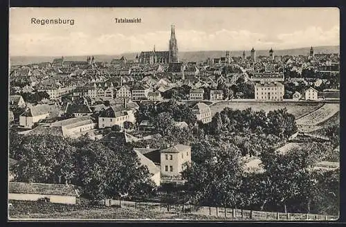 AK Regensburg, Totalansicht mit Kirche
