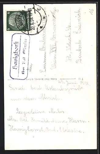 AK Havighorst /Bad Oldesloe, Geschäftshaus mit Strasse, Seepartie mit Blick auf ein Haus