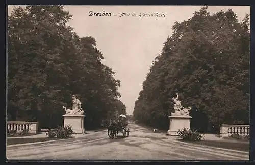 AK Dresden, Allee mit Grossem Garten