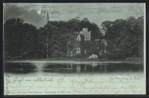 AK Biebrich / Rhein, Die Moosburg im Park