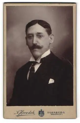 Fotografie A. Herodek, Oderberg, Bürgerlicher Herr im Anzug mit Krawatte und Mittelscheitel