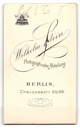 Fotografie Wilhelm Stein, Berlin, Chaussseestr. 65 /66, Junger Mann im Anzug mit Krawatte und Seitenscheitel