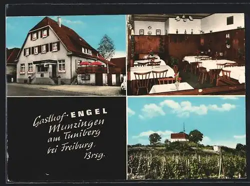 AK Munzingen / Baden, Gasthof-Engel, Innenansicht, Weinberg