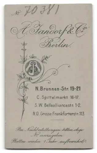 Fotografie A. Jandorf & Co., Berlin, Brunnen-Str. 19-21, Bürgerliche in weissem Kleid im Portrait