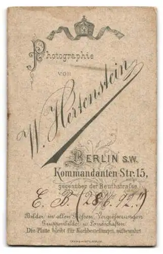 Fotografie Atelier W. Hertenstein, Berlin, Kommandanten-Str. 15, Bürgerliche in hochgeschlossenem Kleid mit Schleifen