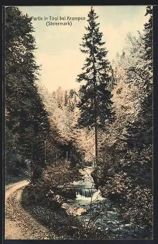 AK Neuberg an der Mürz, Tirol bei Krampen, Wegpartie am Fluss